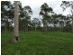 Lot 1 Dawsons Road, Berajondo QLD 4674