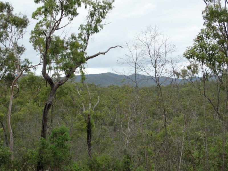 Lot 1 Dawsons Road, Berajondo QLD 4674