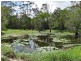 134 Forestry Road, Yandaran QLD 4673