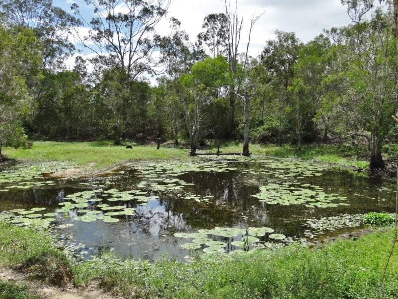 134 Forestry Road, Yandaran QLD 4673