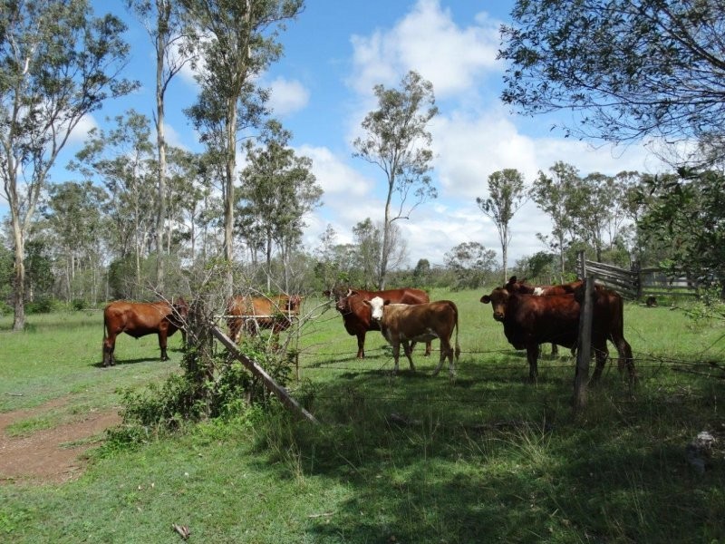 134 Forestry Road, Yandaran QLD 4673