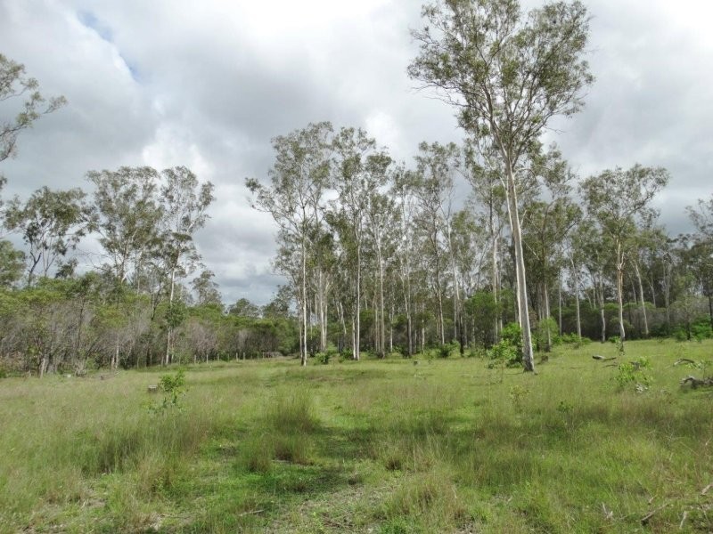 134 Forestry Road, Yandaran QLD 4673