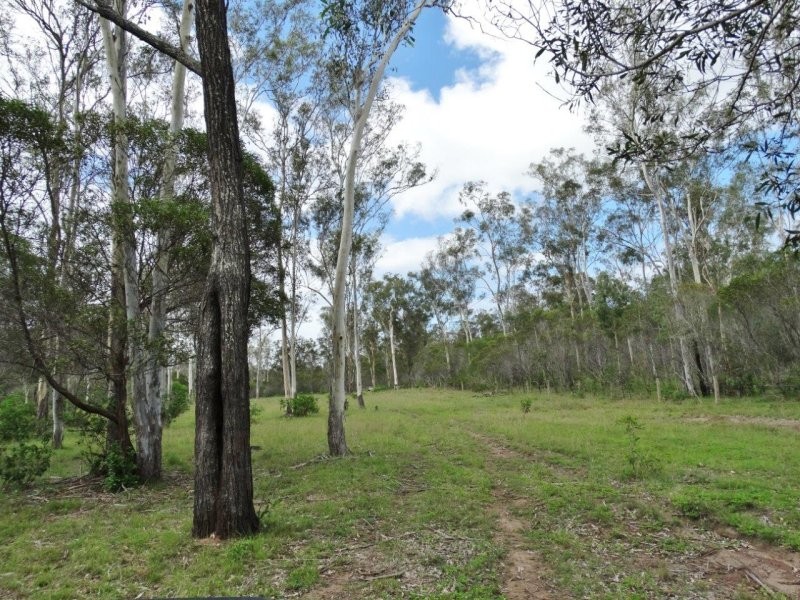 134 Forestry Road, Yandaran QLD 4673