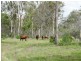 134 Forestry Road, Yandaran QLD 4673