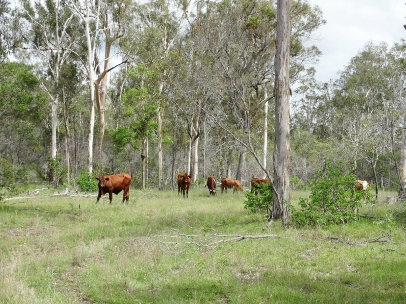 134 Forestry Road, Yandaran QLD 4673