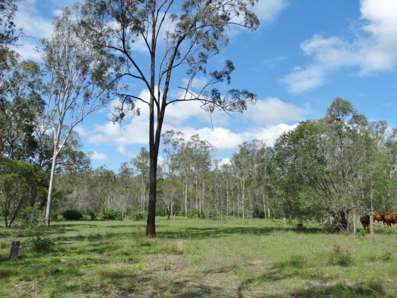 134 Forestry Road, Yandaran QLD 4673