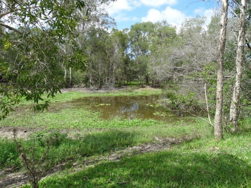 134 Forestry Road, Yandaran QLD 4673