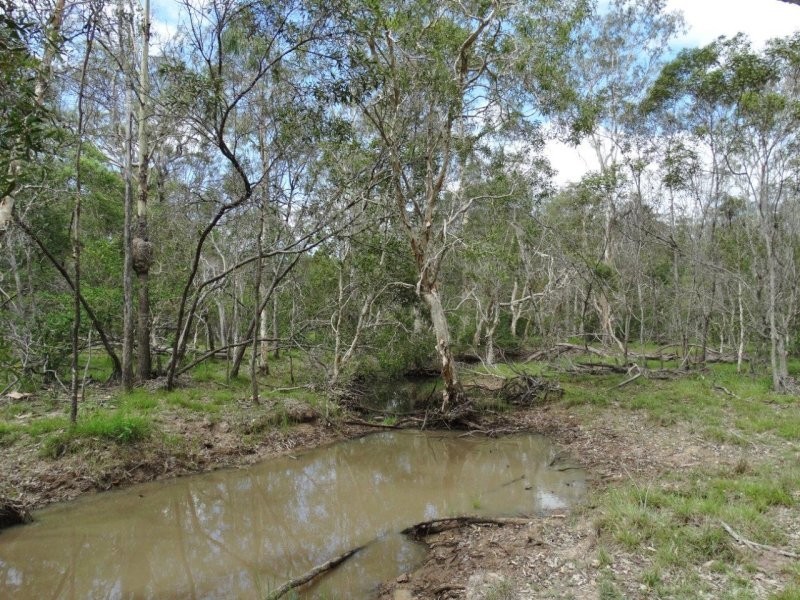 134 Forestry Road, Yandaran QLD 4673