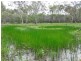134 Forestry Road, Yandaran QLD 4673
