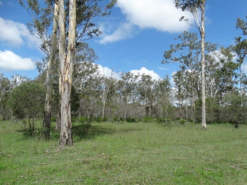 134 Forestry Road, Yandaran QLD 4673