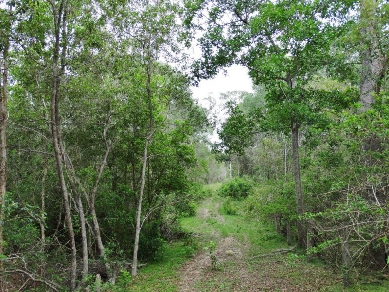 134 Forestry Road, Yandaran QLD 4673