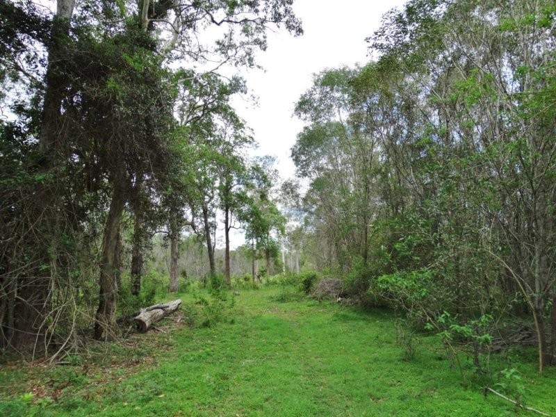 134 Forestry Road, Yandaran QLD 4673