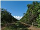 Lot 10 Freshwater Court, Deepwater QLD 4674