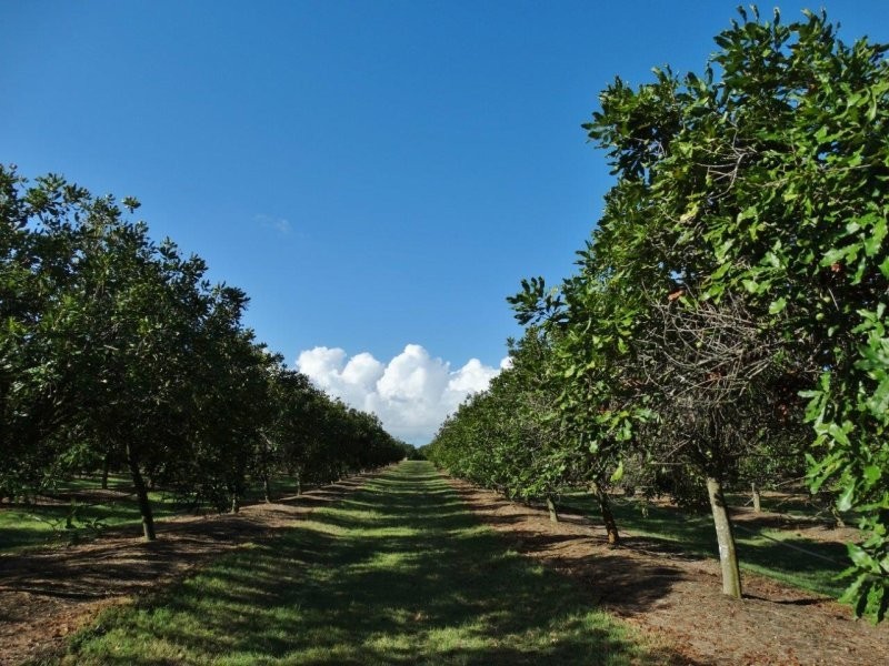 Lot 10 Freshwater Court, Deepwater QLD 4674