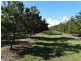 Lot 10 Freshwater Court, Deepwater QLD 4674