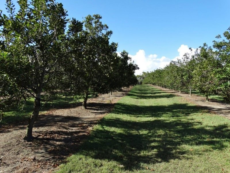 Lot 10 Freshwater Court, Deepwater QLD 4674
