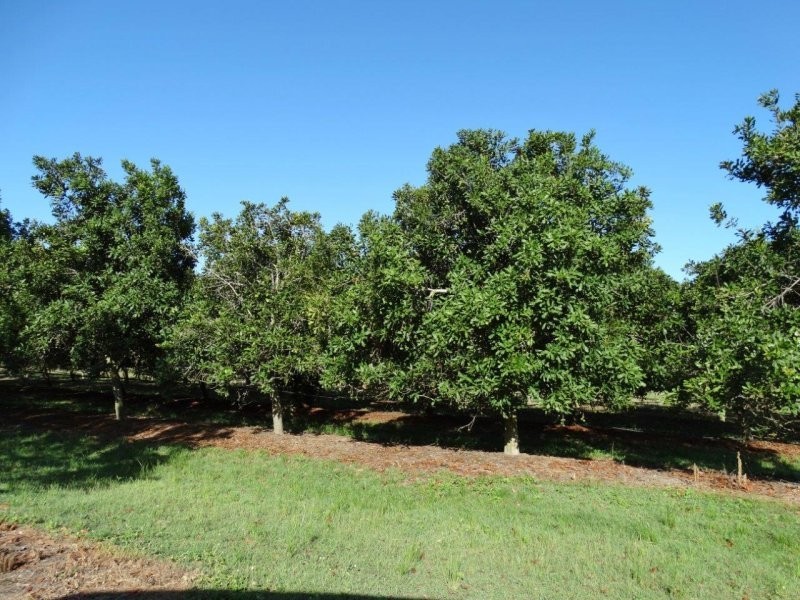 Lot 10 Freshwater Court, Deepwater QLD 4674