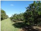 Lot 10 Freshwater Court, Deepwater QLD 4674