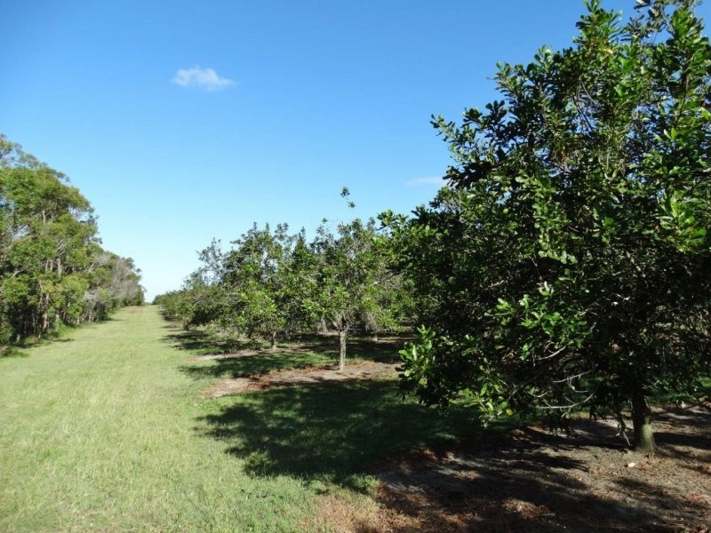 Lot 10 Freshwater Court, Deepwater QLD 4674