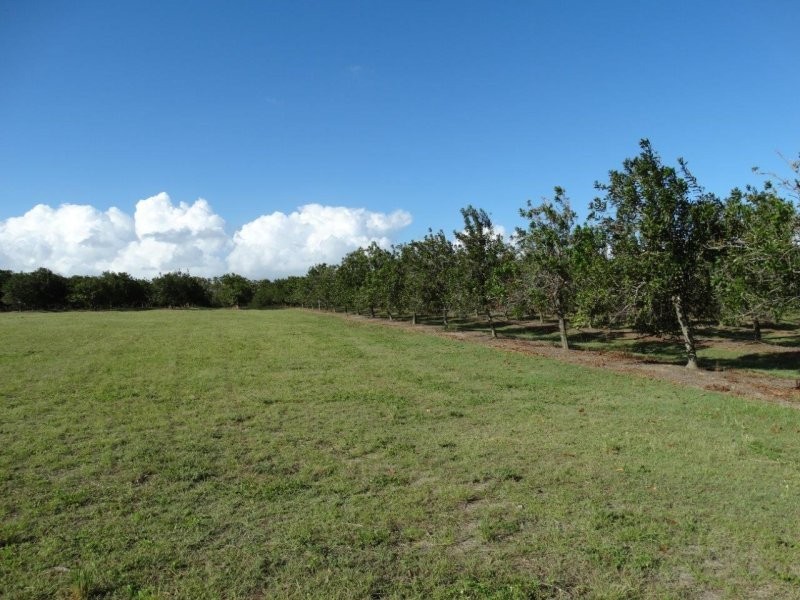 Lot 10 Freshwater Court, Deepwater QLD 4674