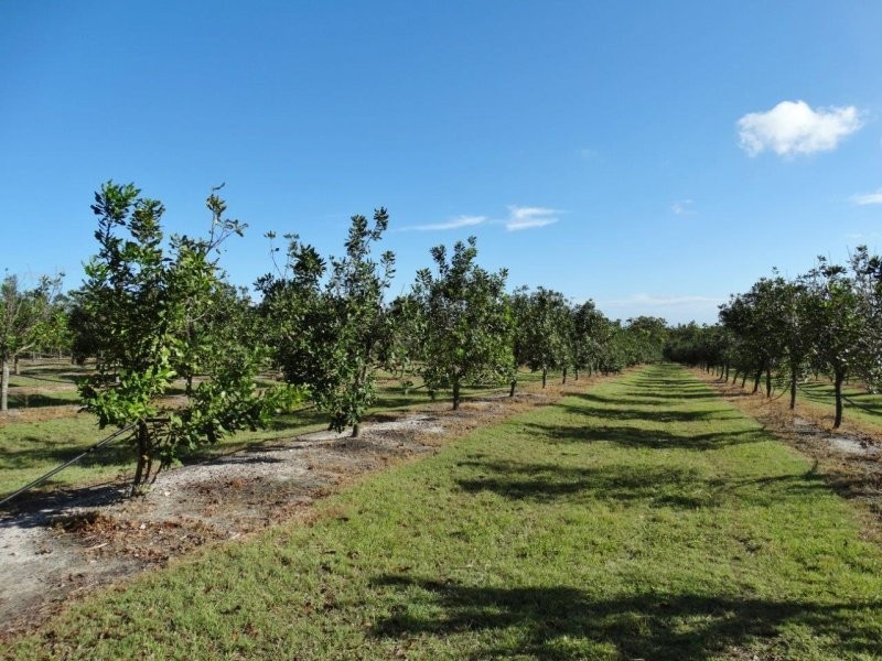 Lot 10 Freshwater Court, Deepwater QLD 4674