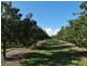 Lot 10 Freshwater Court, Deepwater QLD 4674