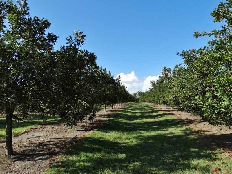 Lot 10 Freshwater Court, Deepwater QLD 4674