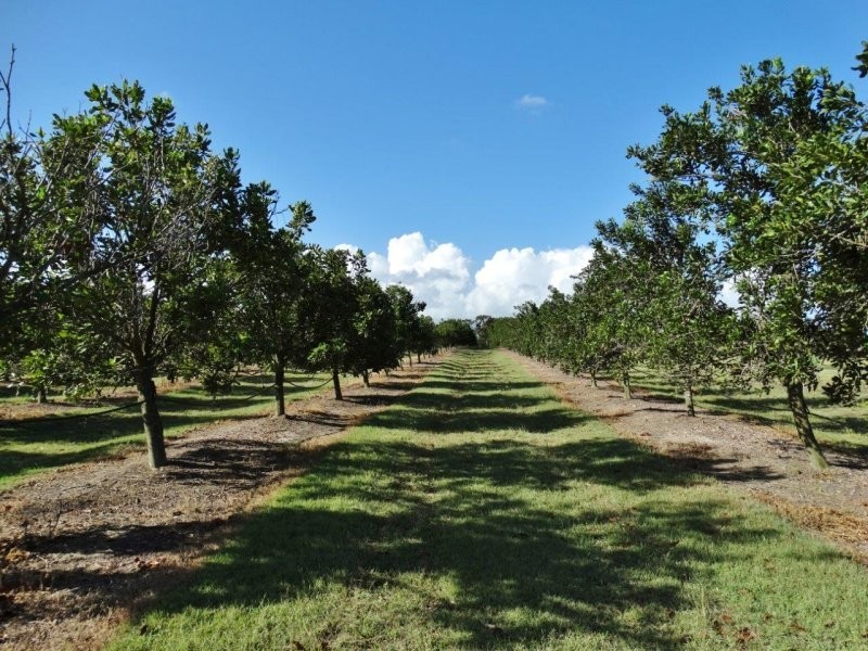 Lot 10 Freshwater Court, Deepwater QLD 4674