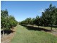 Lot 10 Freshwater Court, Deepwater QLD 4674