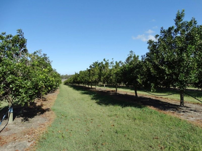 Lot 10 Freshwater Court, Deepwater QLD 4674