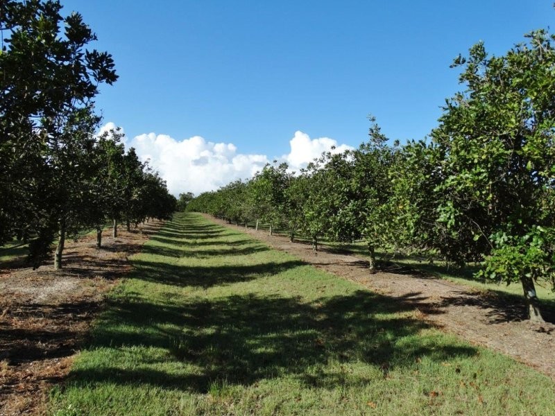 Lot 10 Freshwater Court, Deepwater QLD 4674