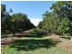 Lot 10 Freshwater Court, Deepwater QLD 4674