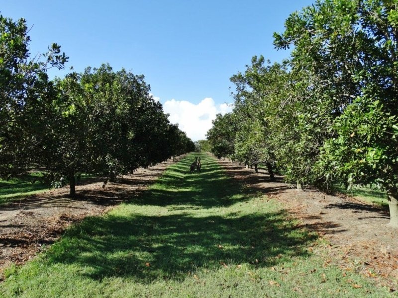 Lot 10 Freshwater Court, Deepwater QLD 4674