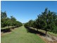 Lot 10 Freshwater Court, Deepwater QLD 4674