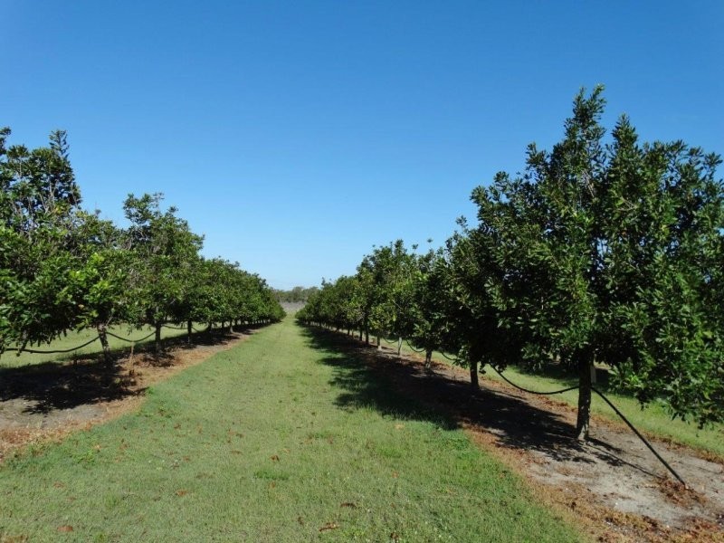 Lot 10 Freshwater Court, Deepwater QLD 4674