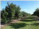 Lot 10 Freshwater Court, Deepwater QLD 4674