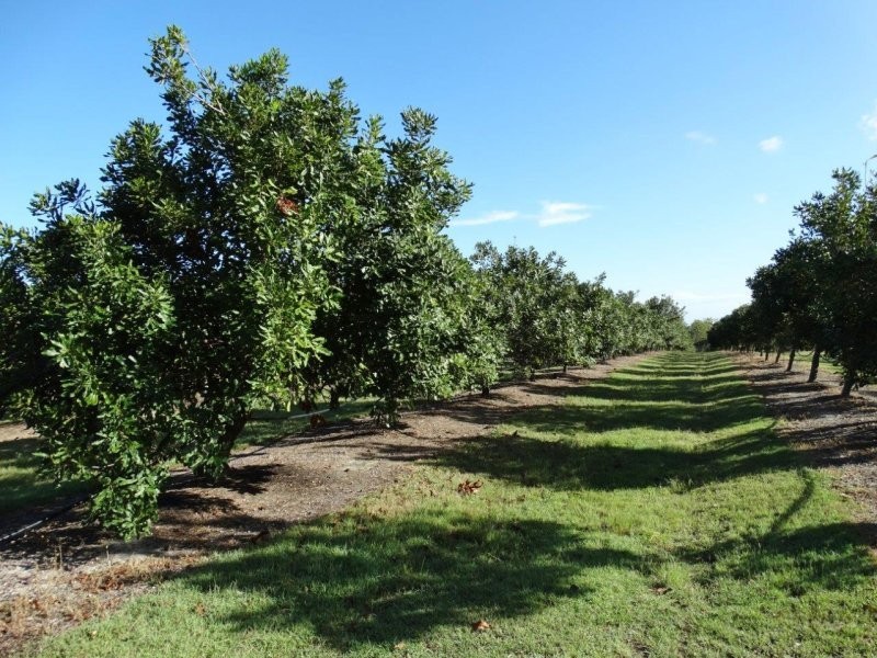 Lot 10 Freshwater Court, Deepwater QLD 4674