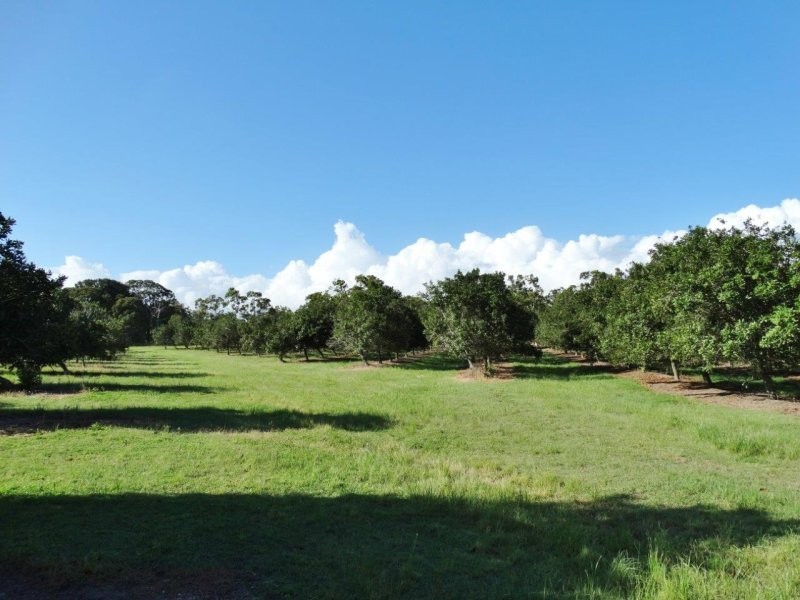 Lot 10 Freshwater Court, Deepwater QLD 4674