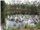 419 Matchbox Road, Deepwater QLD 4674