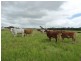 611 Lowmead Road, Colosseum QLD 4677