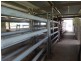611 Lowmead Road, Colosseum QLD 4677