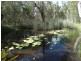 193 Maude Hill Road, Deepwater QLD 4674