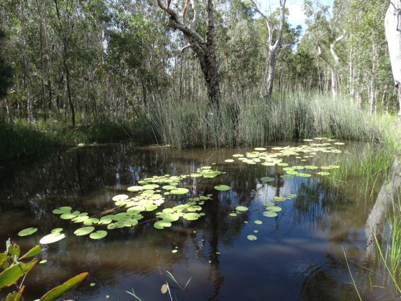 193 Maude Hill Road, Deepwater QLD 4674