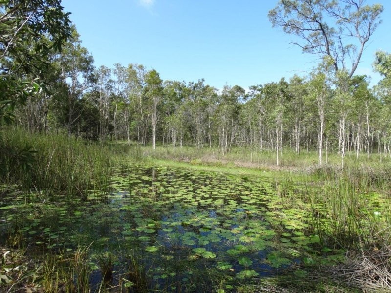 193 Maude Hill Road, Deepwater QLD 4674