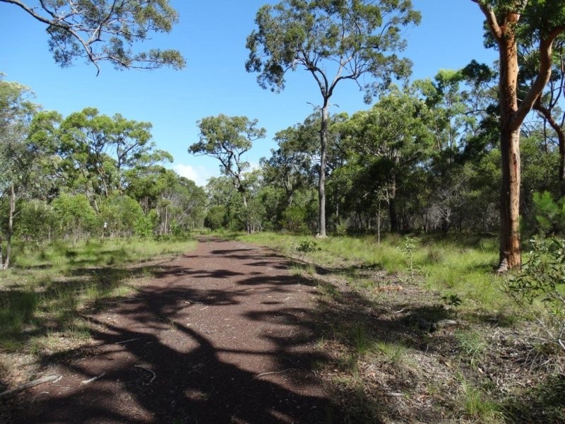 193 Maude Hill Road, Deepwater QLD 4674