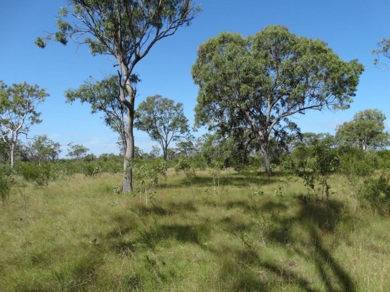 193 Maude Hill Road, Deepwater QLD 4674