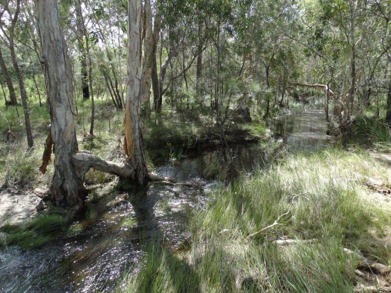 193 Maude Hill Road, Deepwater QLD 4674