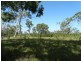 193 Maude Hill Road, Deepwater QLD 4674