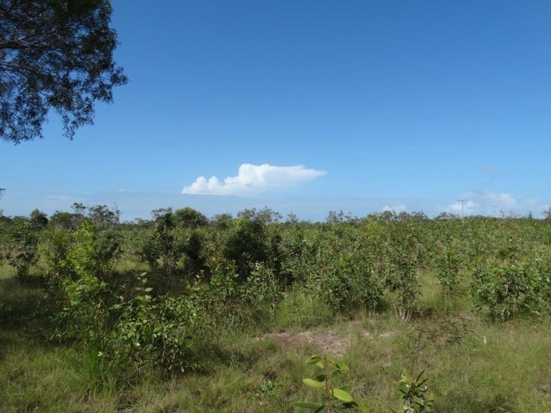 193 Maude Hill Road, Deepwater QLD 4674