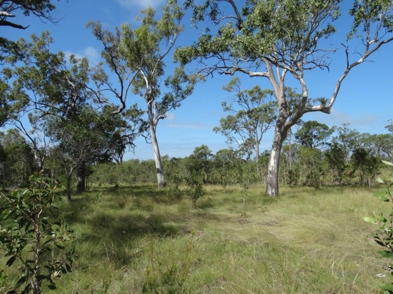 193 Maude Hill Road, Deepwater QLD 4674